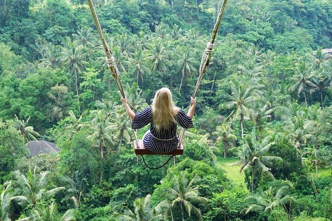 Penglipuran Traditional Village Tour with Swing, Rice Terrace, and Temple - The 66-foot swing at the terrace river pool: the action part of the day