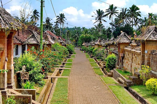 Penglipuran Traditional Village Tour with Swing, Rice Terrace, and Temple - Tegalalang Rice Terrace: where you’ll want your camera ready