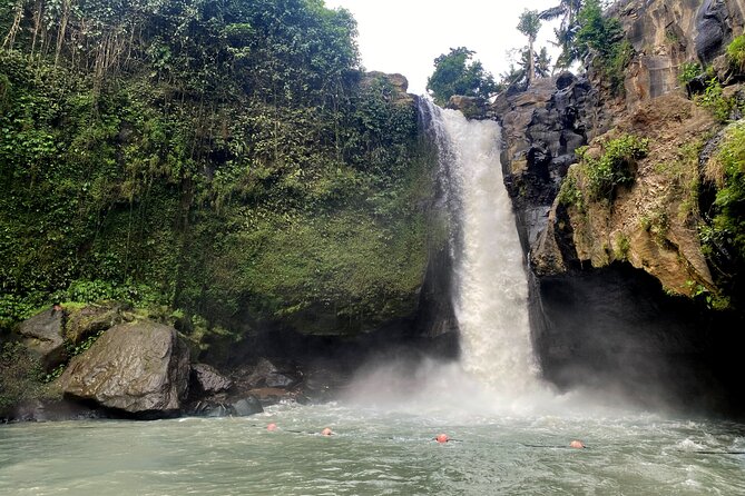 Private Bali Custom Tour – Full Day with English-Speaking Driver - Private Car With an English-Speaking Driver in Ubud