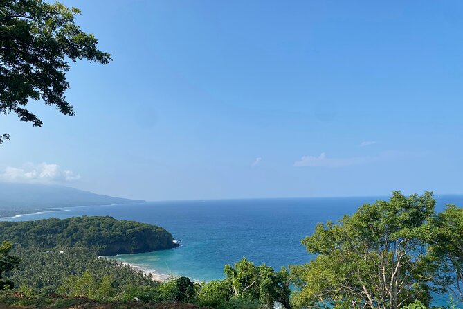 Private Bali Custom Tour – Full Day with English-Speaking Driver - Elephant Cave, Bird Park, and Monkey Options for a Fun Shift