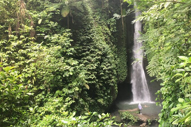 Private Bali Custom Tour – Full Day with English-Speaking Driver - Handara Iconic Gate and Penglipuran Village for Photo and Culture Time