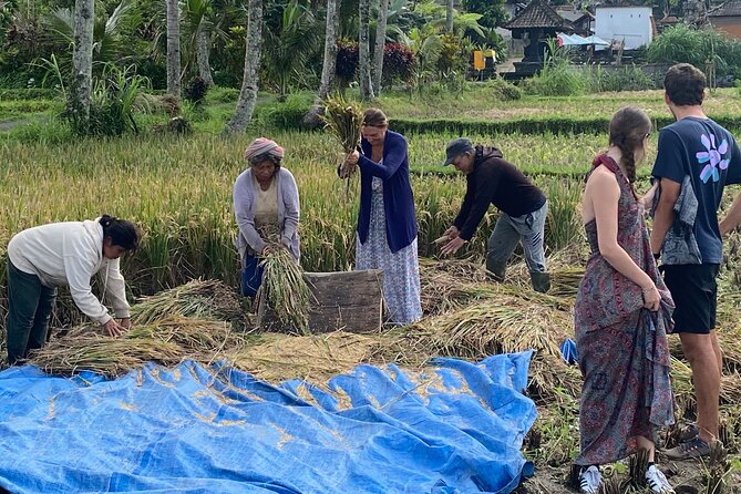 Private Bali Custom Tour – Full Day with English-Speaking Driver - Beaches and Cliff Temples: Uluwatu, Virgin Beach, and the Coast Route