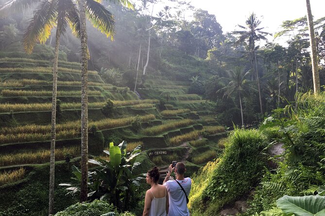 Private Bali Custom Tour – Full Day with English-Speaking Driver - Rice Terraces and Farming Views: Tegallalang, Mancingan, and More