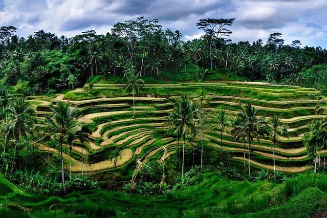 Private Bali swing, waterfall instagramable tour - Tegenungan Waterfall: views, swimming vibes, and the stairs tax