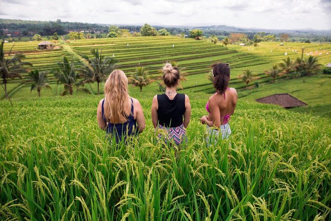 Private Bali Tour: The Most Scenic Places - Jatiluwih Rice Terraces: UNESCO Subak in a Real-Time Setting