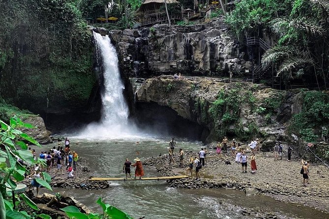 Private Bali Tour: Wonderful Ubud with Swing - Stop 5: Sacred Monkey Forest Sanctuary and 700+ Long-Tailed Macaques