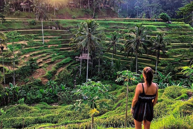 Private Bali Tour: Wonderful Ubud with Swing - Optional Add-Ons: How the Route Can Stretch Beyond Ubud