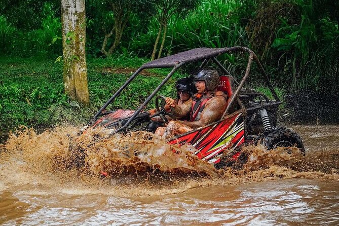 Private Bali UTV Adventure - Price and value: $83.77 for a two-hour private off-road experience