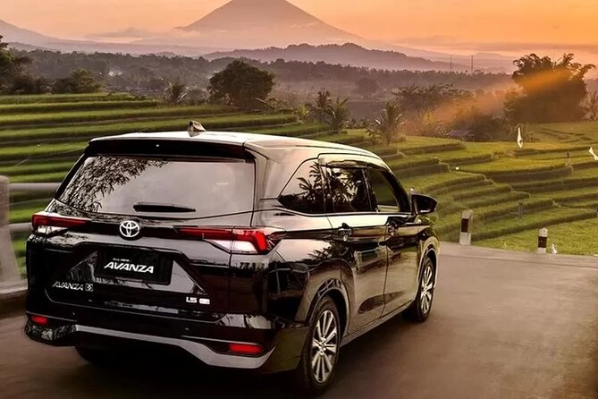 Private Car Charter Tour With Driver In Bali - Quick things you’ll care about