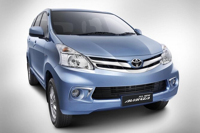 Private Car Charter Tour With Driver In Bali - Who this private Bali day fits best