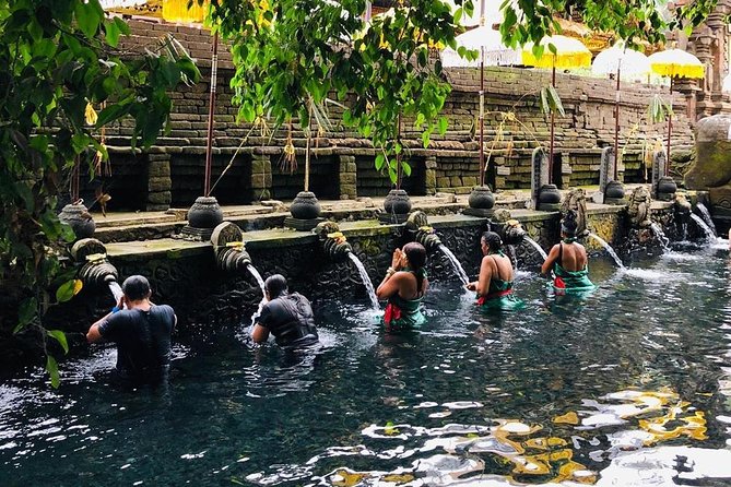 Private Custom Tour: 10-hour Tailor Made Tour of Bali - What the private driver + custom plan really means for you