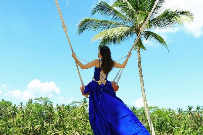 Private Custom Tour: 10-hour Tailor Made Tour of Bali - Central Bali in a day: Tirta Empul, coffee country views, and cultural parks