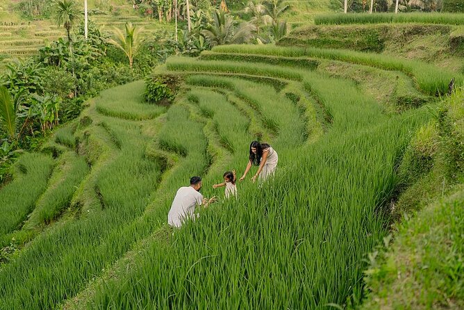 Private Customize Ubud Day Tour With Experienced Driver - Key things to love about this Ubud private day tour