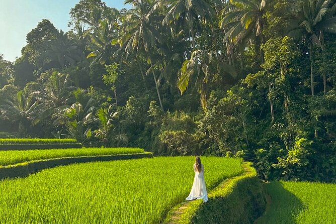 Private Customize Ubud Day Tour With Experienced Driver - Private comfort with a driver who plans around you