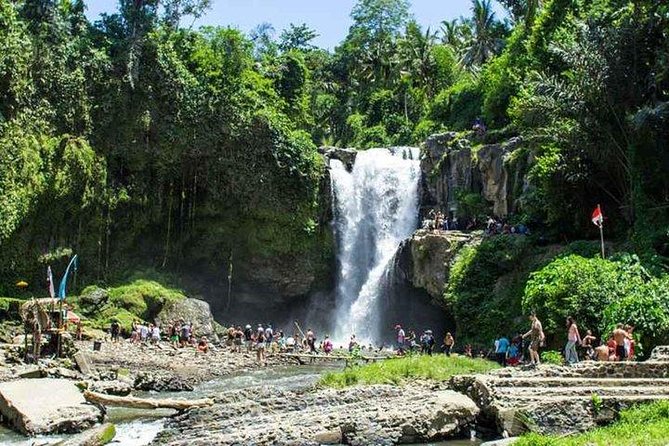 Private Day Tour: The Highlight of Ubud - Getting Started: Pickup, Mobile Ticket, and Timing in Ubud