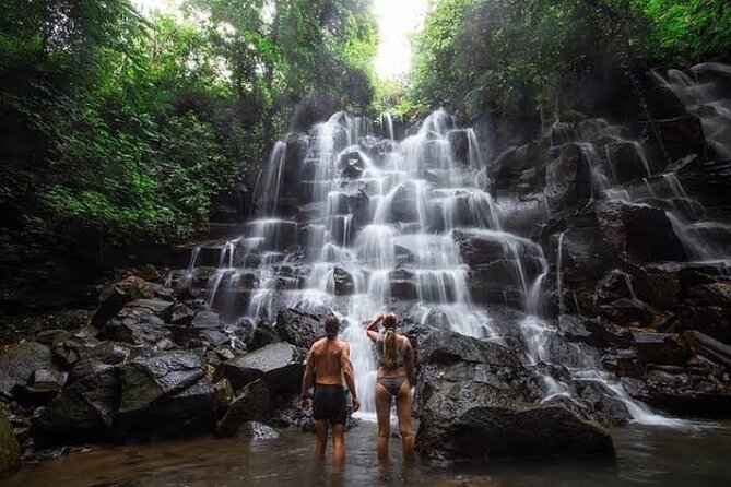 Private Day Tour To Waterfalls And Ubud Sightseeing - Key things to know before you go