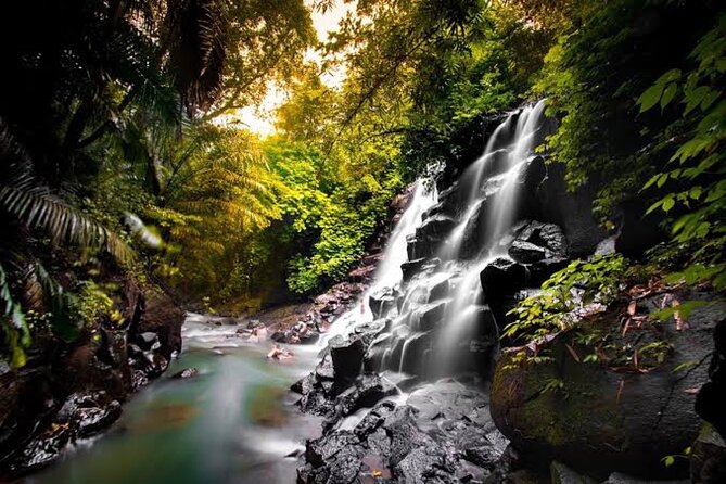 Private Day Tour To Waterfalls And Ubud Sightseeing - Tegalalang Rice Terrace: the payoff stop with real walking time