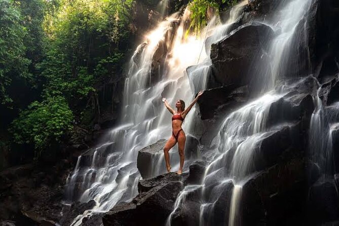 Private Day Tour To Waterfalls And Ubud Sightseeing - Price and value: is $42 per person a good deal?