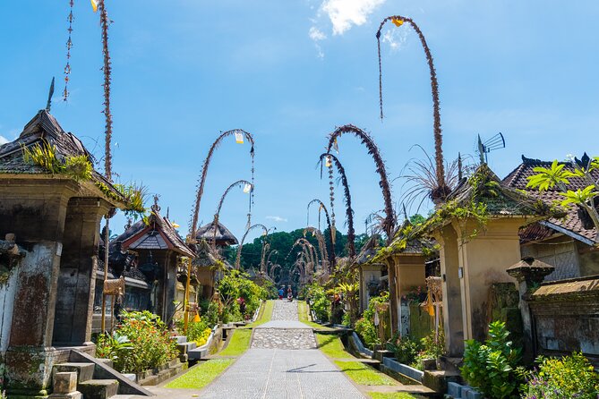 Private Experience: Bali Village Tour - Pedal-Powered Jatiluwih Rice Terraces: the Day’s Main Event