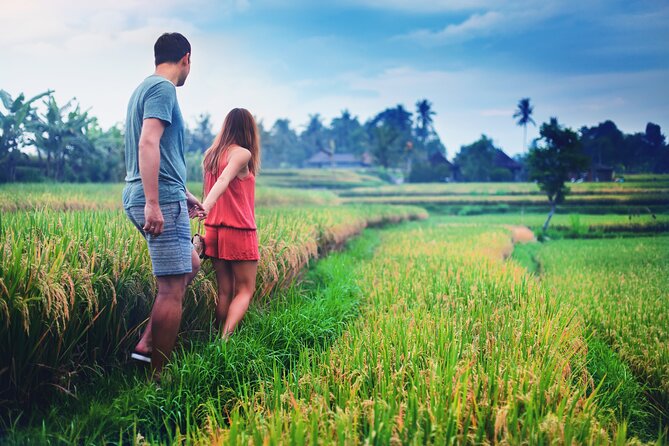 Private Experience: Bali Village Tour - Drivers and Guides: Why Punctuality and English Matter