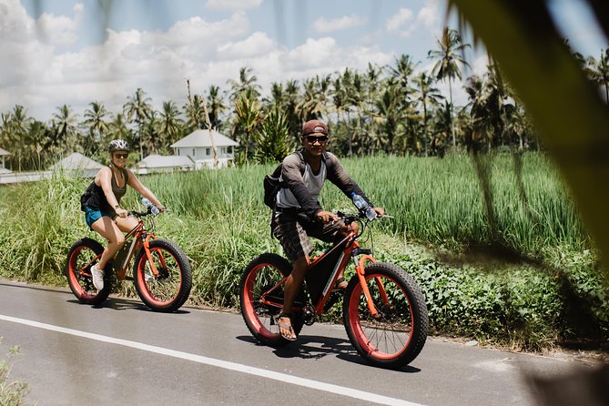 Private Fat Tire E-Bike Tour in Ubud - Tegalalang Rice Terrace: A Short Stop That Still Hits the Mark