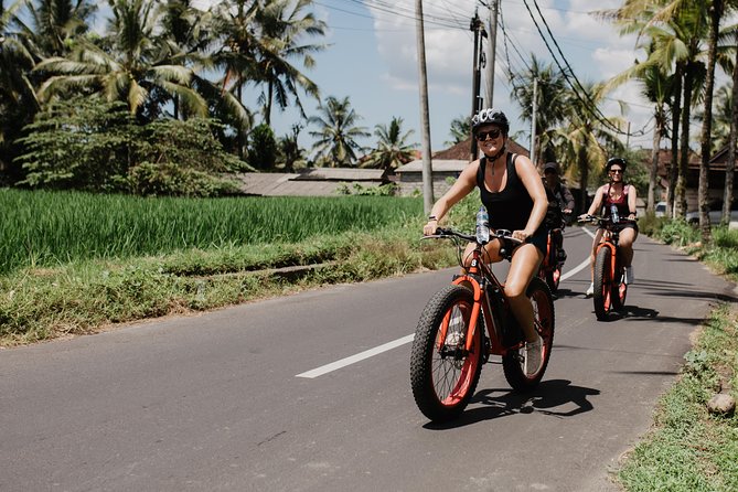 Private Fat Tire E-Bike Tour in Ubud - Fuel and Flow: Snacks, Bottled Water, and a Meal