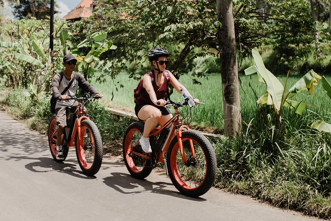 Private Fat Tire E-Bike Tour in Ubud - Price and Value: Is $75 a Good Deal for Ubud?