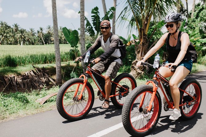 Private Fat Tire E-Bike Tour in Ubud - Starting in Ubud: Getting Set Up Without Wasting Time
