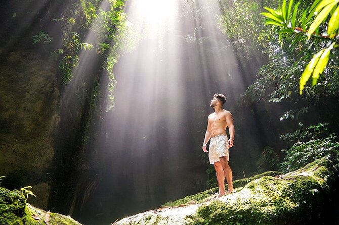 Private Full-Day Lempuyang Gate of Heaven Tour - Price and what the $49 really covers