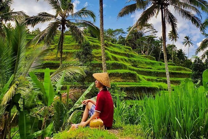 Private Full - Day Nusa Penida Island Tour - Entering the Nusa Penida Game: Boat, Pacing, and What a Full Day Feels Like