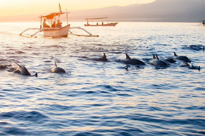 Private Full - Day Nusa Penida Island Tour - Stop-by-Stop: Diamond Beach, Thousand Islands Viewpoint, Tree House, Kelingking