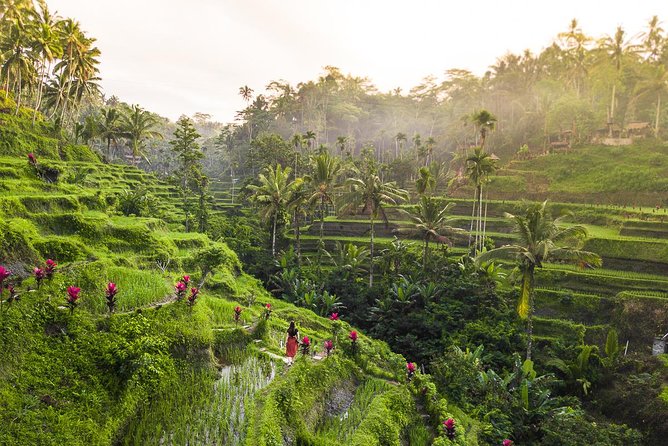 Private Full-Day Tour: Balinese Temples and Rice Terraces - How much is $59.90 really worth for temples, terraces, and private transport?