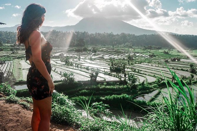 Private Full Day Tour: Best UNESCO Sites in Bali - Private Drivers Make the Difference (and Some Names to Watch For)