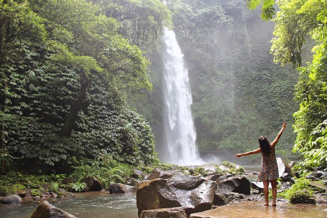 Private Full-Day West Bali Tour with Waterfall Visit - Wanagiri Hidden Hills and Lake Buyan Views (Bird Nest, Swing, Cliff Board)