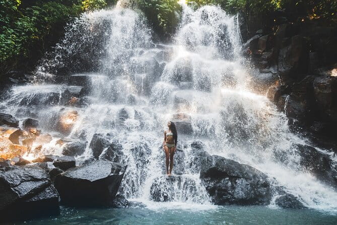 Private Guided Bali Car Charter - Sacred Monkey Forest Sanctuary: a spiritual place with serious monkey numbers