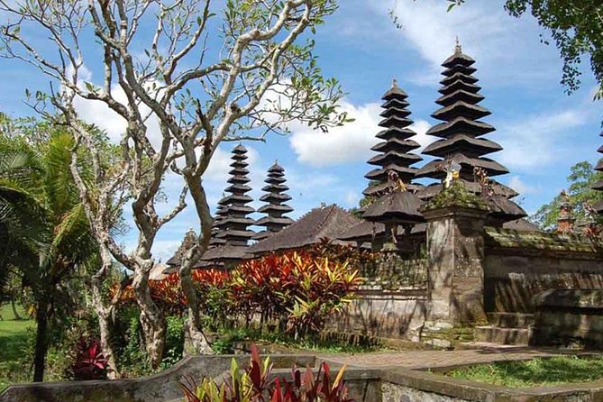 Private Jatiluwih Rice Terraces Heritage Site and Culture Tour - Dewa Alit and the private-guide difference