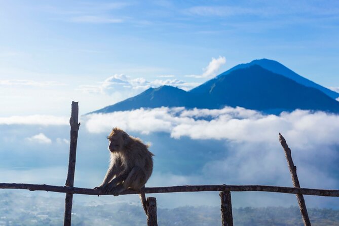 Private Mount Batur Sunrise Trekking Tour - Should You Book This Mount Batur Sunrise Trek?