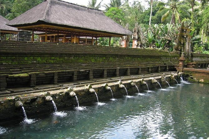 Private Shore Excursion: Highlights of Bali - A Private Ubud Day That Actually Starts When Your Ship Lands
