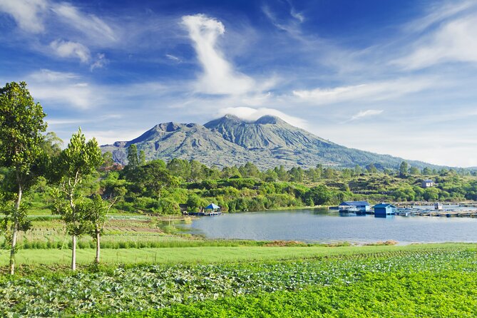 Private Tour: Bali Volcano with Jungle Swing Experience - Tegalalang Rice Terrace: a real-feeling walk among working fields
