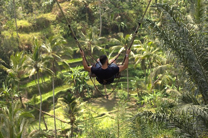 Private Tour: Bali Volcano with Jungle Swing Experience - Tegenungan Waterfall: cool off, then plan your footing