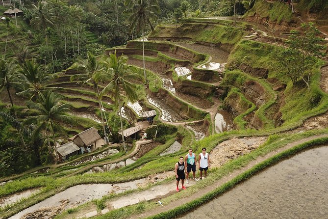 Private Tour: Bali Volcano with Jungle Swing Experience - Price and value: where the $55 per person really goes