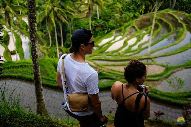 Private Tour: Balinese Culture and Scenery (visit ubud area) - Ubud, packaged smart: what you’re really buying for $65