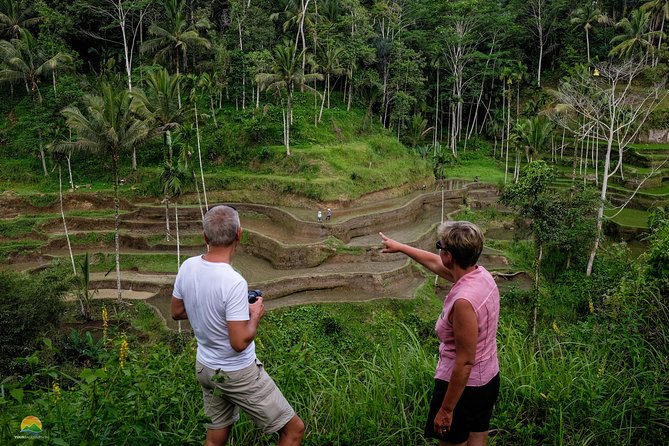 Private Tour: Balinese Culture and Scenery (visit ubud area) - The Balinese arts + home life stop: woodcarving, silver, painting, and a compound
