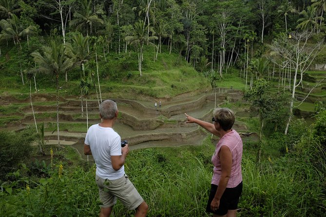 Private Tour: Balinese Culture and Scenery (visit ubud area) - Timing and logistics: what an 8-hour day feels like in real life