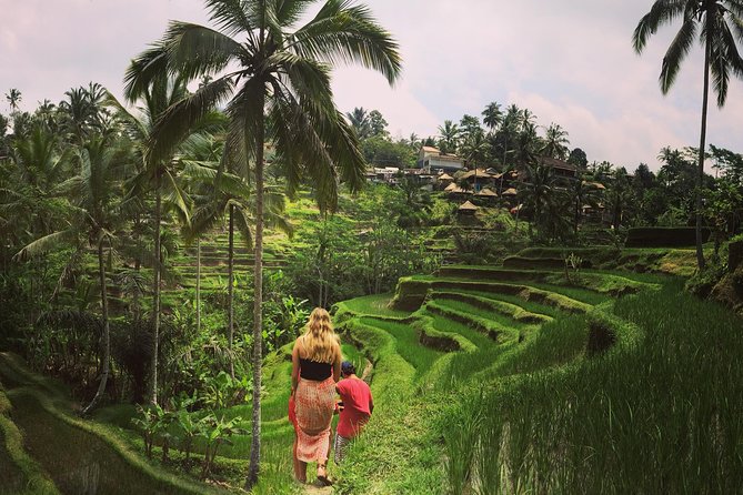 Private Tour: Balinese Culture and Scenery (visit ubud area) - The morning plan: Mount Batur viewpoint (30 minutes)