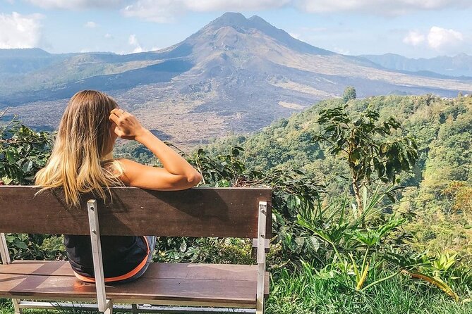 Private Tour: Best of Bali - All Inclusive Tickets - Tegenungan Waterfall in One Hour: Time for Descent and Climbing