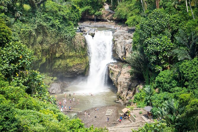 Private Tour: Best of Bali - All Inclusive Tickets - Coffee Plantation Stop: Why It Fits This Kind of Bali Day