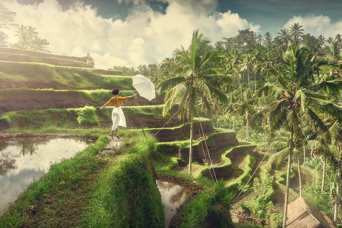 Private Tour: Best of Bali - All Inclusive Tickets - How the Included Tickets Keep Your Time for Real Looking