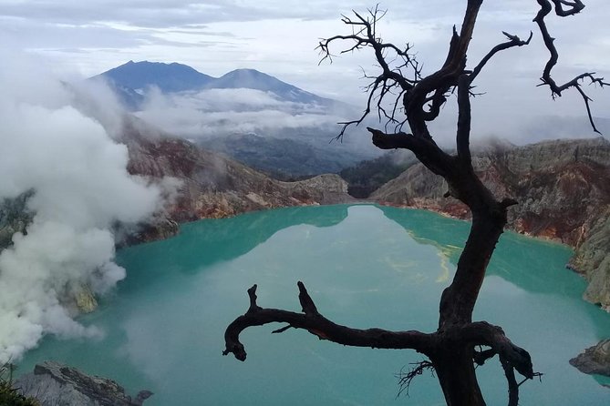 Private Tour : Bromo Ijen Tour From Bali - Key points before you go
