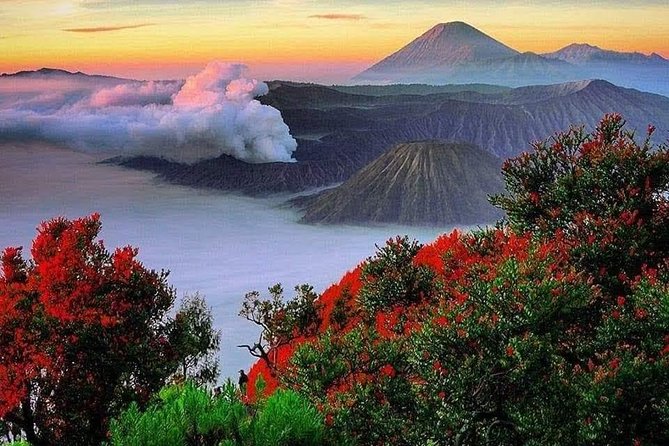 Private Tour : Bromo Ijen Tour From Bali - Price and what you actually get for about $285 per person